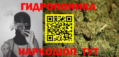 амф Заволжье