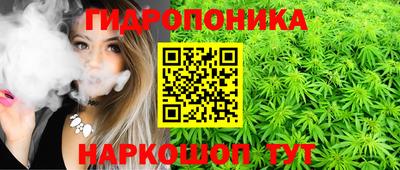 амф Заволжье