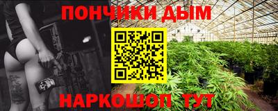 амф Заволжье